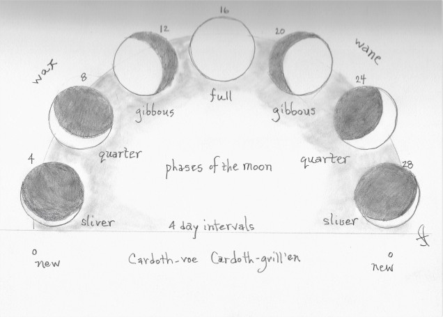 phases of the moon.jpg